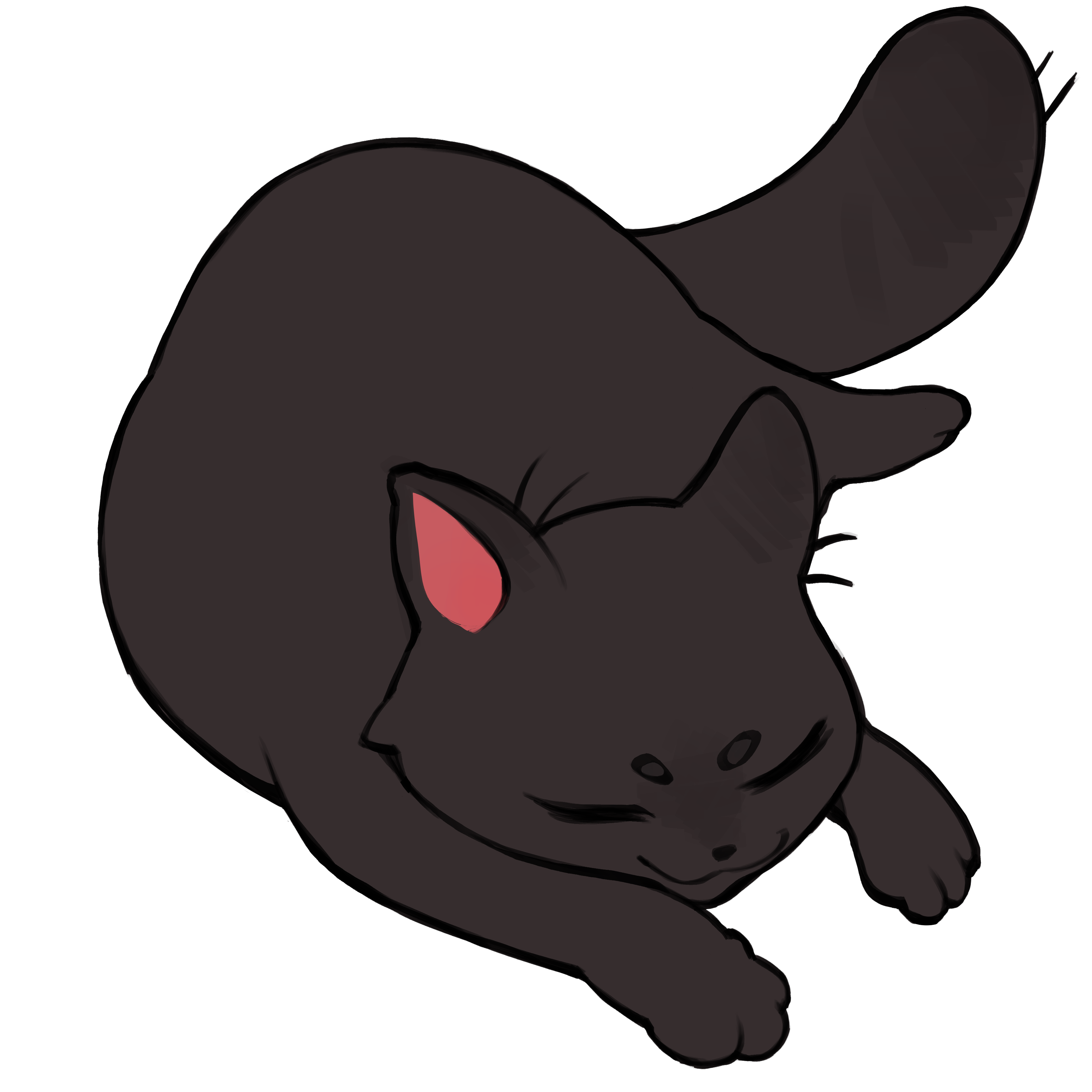 Cute cat illustration