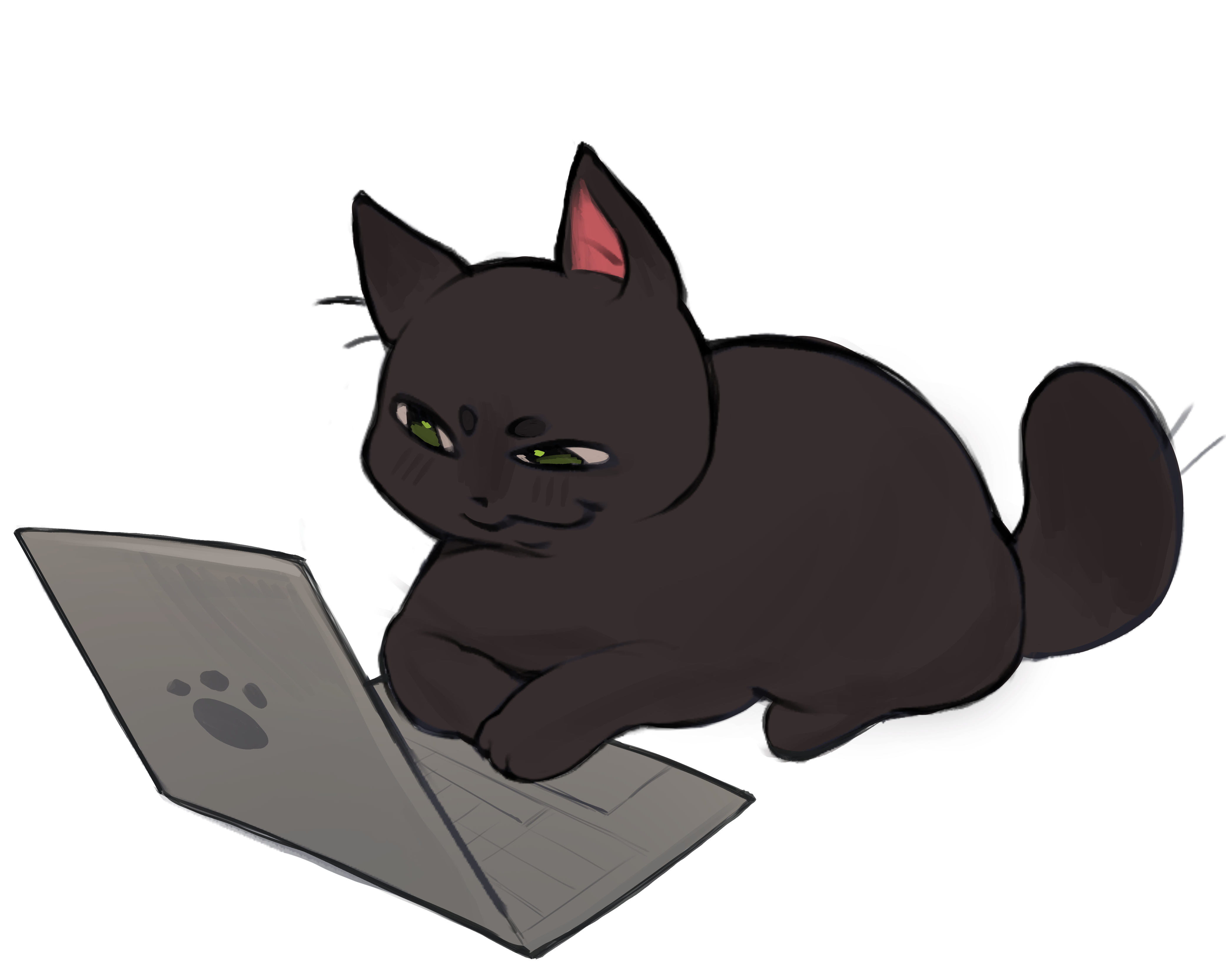 Cat working on laptop